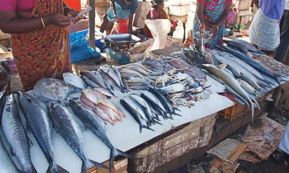 Ramnagar Fish Market