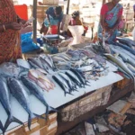 Ramnagar Fish Market